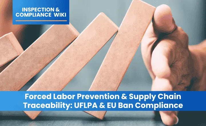 Forced Labor Prevention and Supply Chain Traceability: UFLPA and EU Ban Compliance